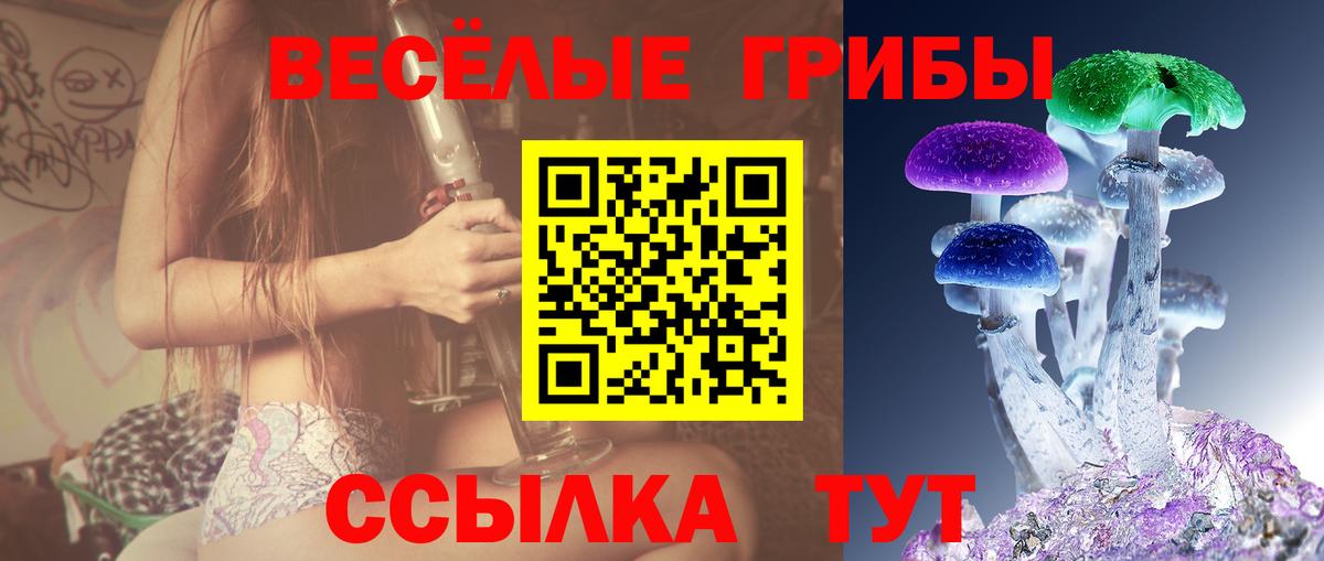 Псилоцибиновые грибы мухоморы  Вход с VPN  купить   Конаково 
