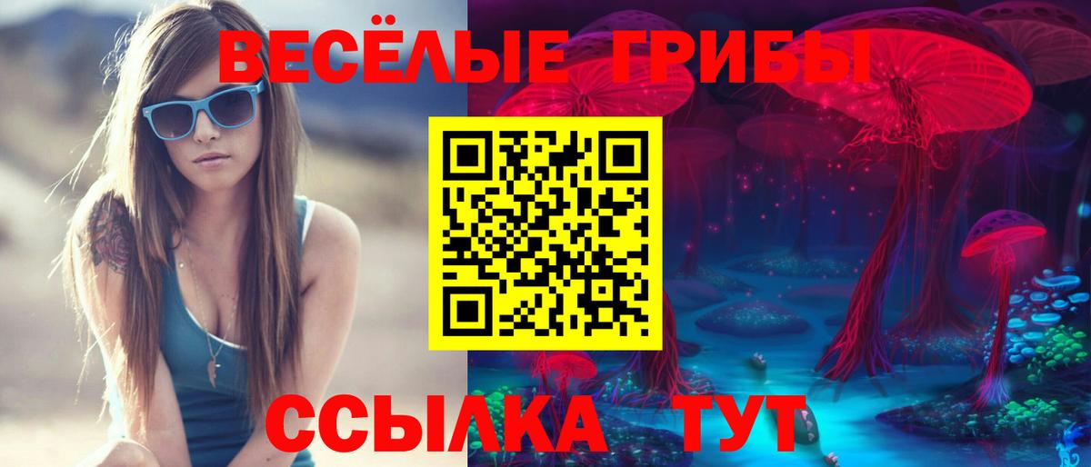 Псилоцибиновые грибы GOLDEN TEACHER Конаково